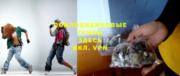 дурь Касимов