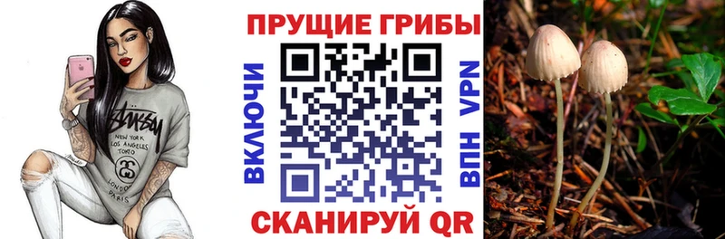 Купить закладки  Ревда  Галлюциногенные грибы Magic Shrooms 